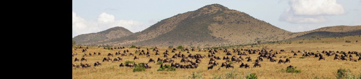 7-Day Magical Kenya Mid-Range Safari 2026-2027