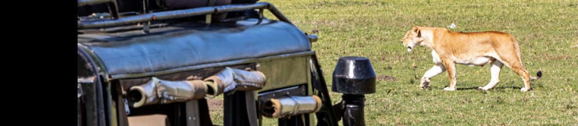7-Day Classic Safari in Kenya's Popular Parks