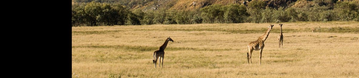 7-Day Once in a Lifetime Kenyan Safari
