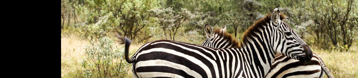 8-Day Epic Bush and Beach Tour