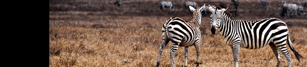 5-Day Luxurious Mara, Nakuru, Naivasha & Hells Gate Tour