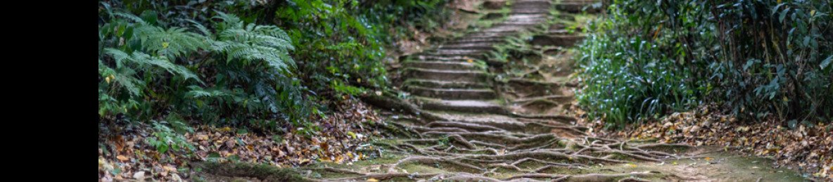 5-Day Mount Kenya Scenic Trekking Expedition