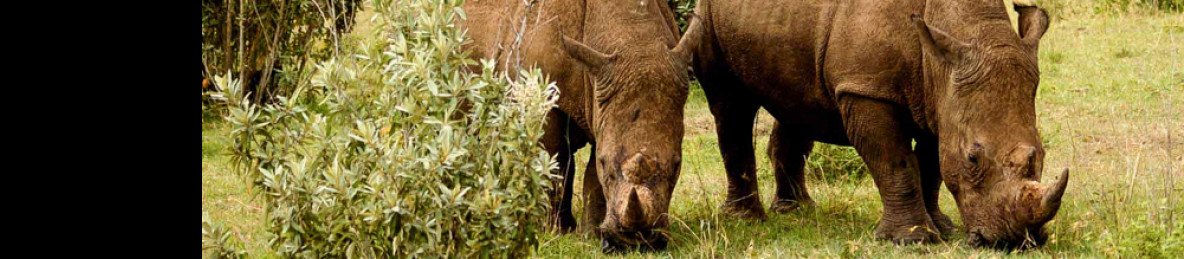 4-Day Ultimate Kenya Wildlife Private Safari - Jeep 4x4