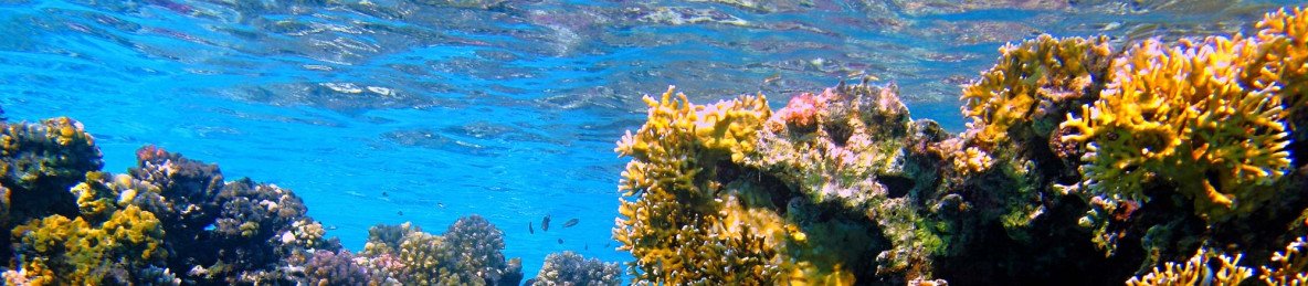 9-Day Signature Tsavo Safari & Mombasa Beach Escape