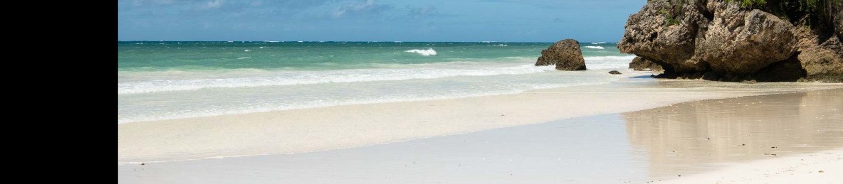 1-Day Safari Blue Mida Creek & Waka Waka Island
