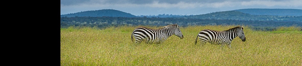 13-Day Kenya Wildlife , Safari & Coast Holiday
