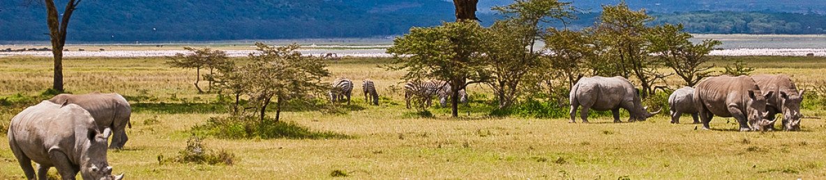 10-Day Kenyan Safari & Wildlife Photography