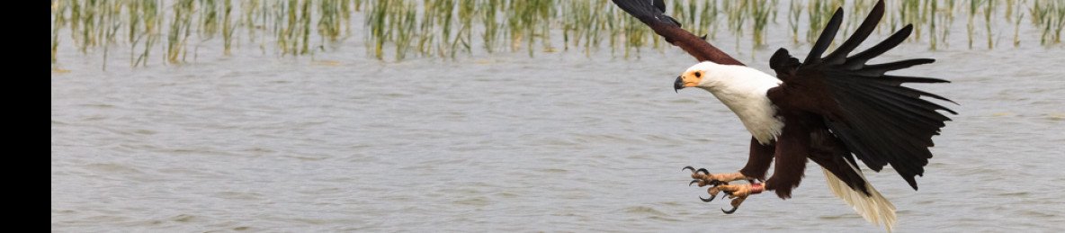 12-Day Safari to Kenya Most Iconic Wildlife Destinations
