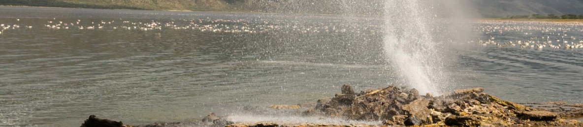 2-Day Safari to Lake Bogoria, Lake Nakuru & L Naivasha