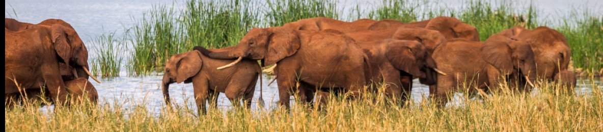 4-Day Tsavo East, Tsavo West and Amboseli Private Safari