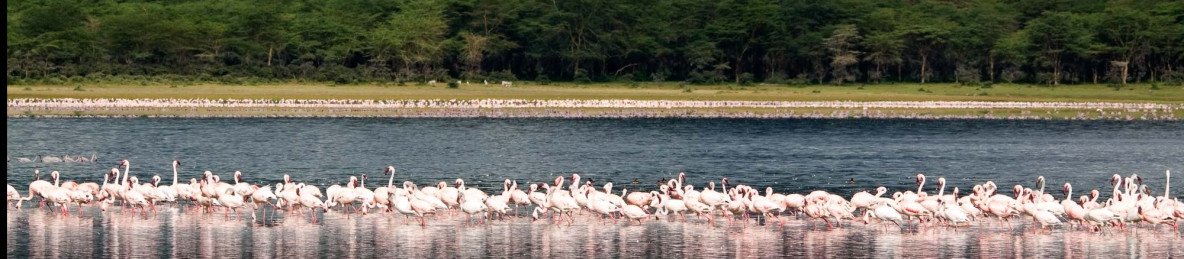5-Day Hells Gate, Lake Nakuru and Masai Mara Mid Tour