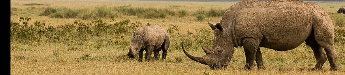 13-Day Thrilling Budget Group Joining Safari Jeep