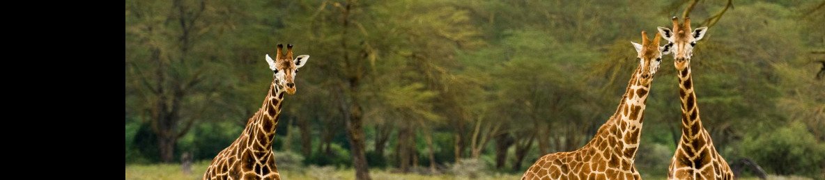 5-Day Hell's Gate, Lake Nakuru and Masai Mara Safari
