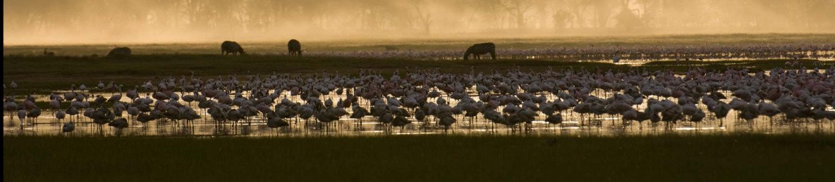 4-Day Mara & Lake Nakuru