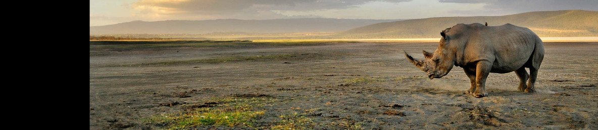 7-Day Mara-Nakuru-Naivasha-Amboseli Budget Safari - 4x4