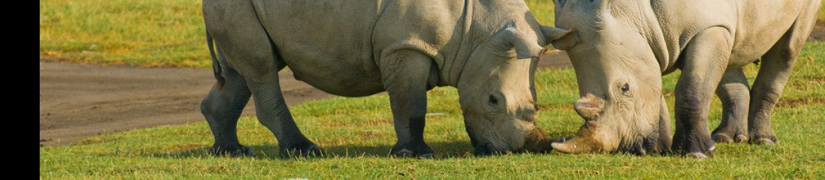 5-Day Lake Nakuru to Masai Mara Wildlife & Cultural Tour