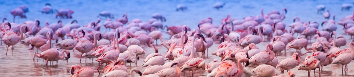 7-Day Naivasha, Nakuru and Masai Mara Safari