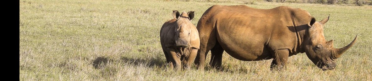 3-Day Wild Adventure in Amboseli National Park