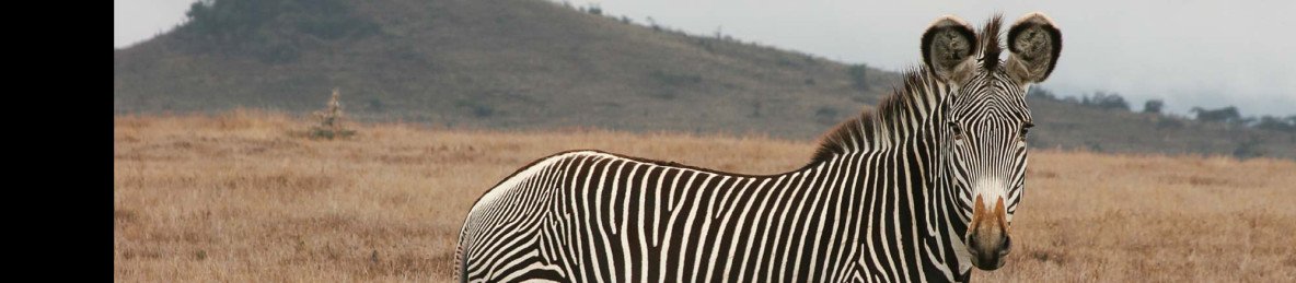 4-Day Samburu and Ol Pejeta Conservancy Budget Safari