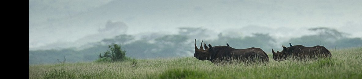 7-Day Kenya's Pride Safari