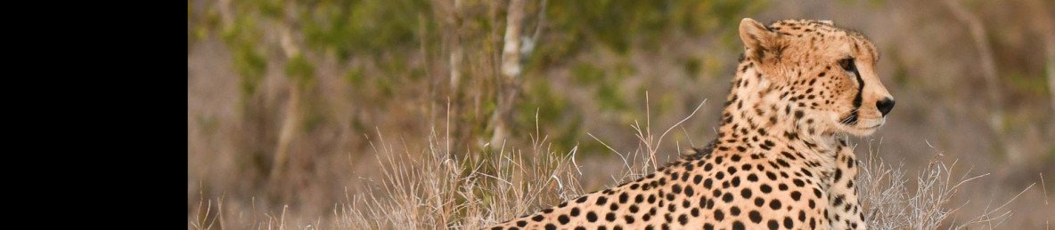 6-Day Great Rift Valley to Mara Odyssey & Diani Beach