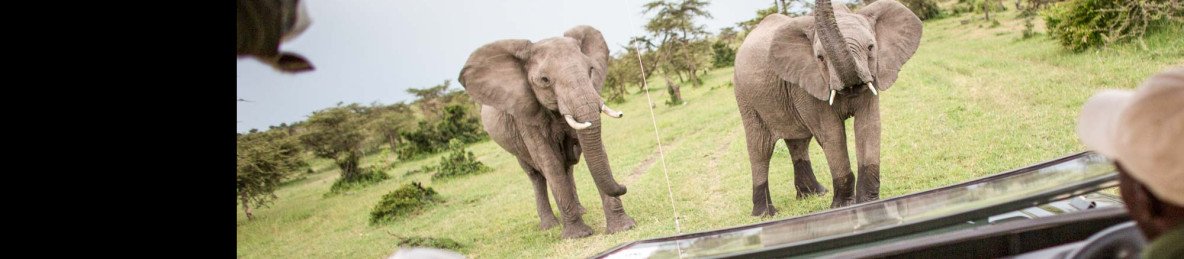 3-Day Masai Mara Kenya 4x4 Land Cruiser Budget Safari