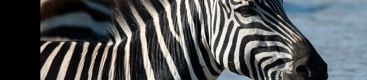 8-Day Adventurous Group Joining Budget Safari