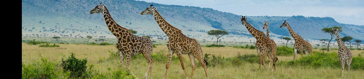 3-Day Budget Sankale Camp Masai Mara Private Tour