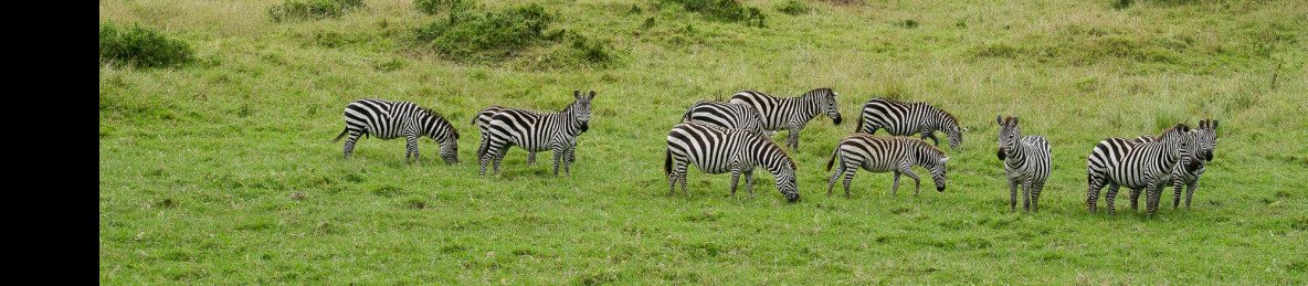 3-Day Jambo Mara Safari Lodge Shared Tour-Wooden Cottage