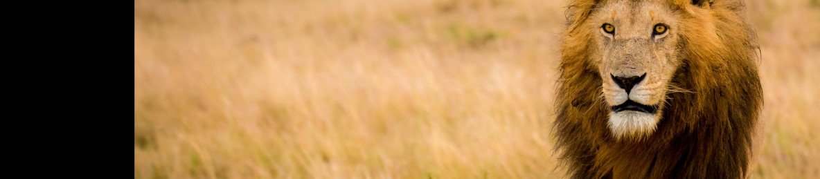 9-Day Kenya Classic Wildlife Safari