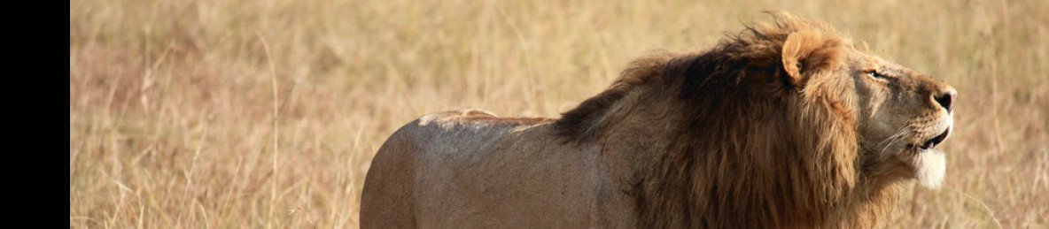 3-Day Tsavo East Safari Experience Starting from Mombasa