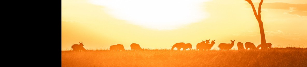 9-Day Samburu Olpajeta Nakuru Naivasha Masai Mara Safari