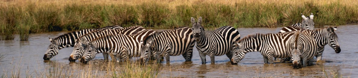 11-Day Ultimate Kenya Family Trip