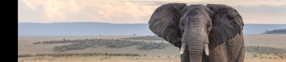 3-Day Tsavo East + Tsavo West from Mombasa