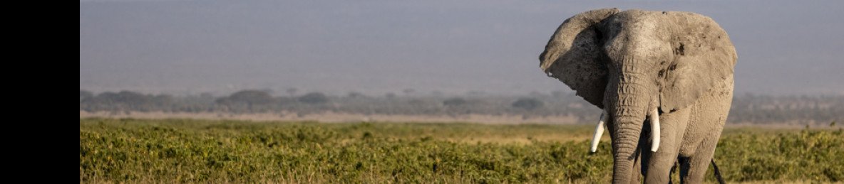 4-Day Mid-Range Maasai Mara & Lake Nakuru Safari