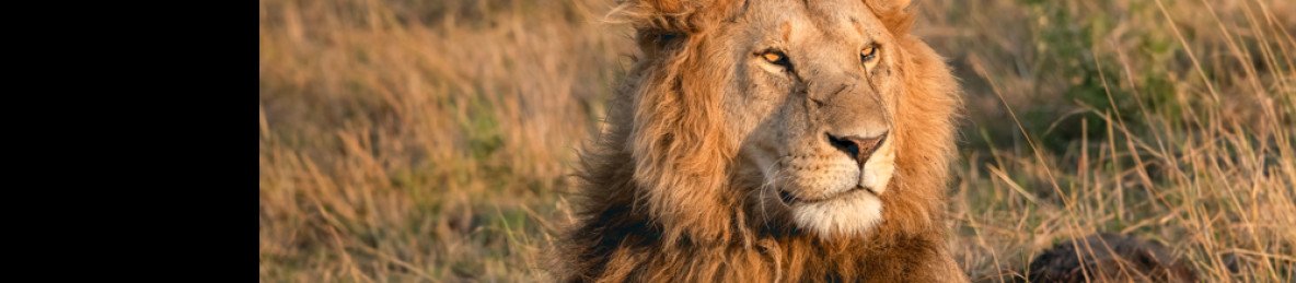 2-Day Safari to Amboseli National Park