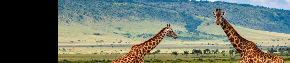 3-Day Tsavo East + Taita Hills (Eco Lodge Experience)