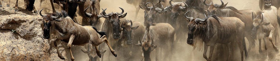 6-Day Savannahs, Lakes & Kilimanjaro Expedition
