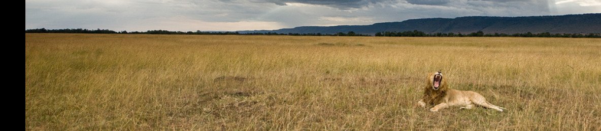 6-Day Amboseli, Lake Naivasha, Masai Mara Safari