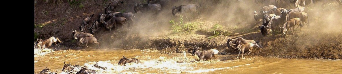 3-Day Big 5 Masai Mara Luxury Safari