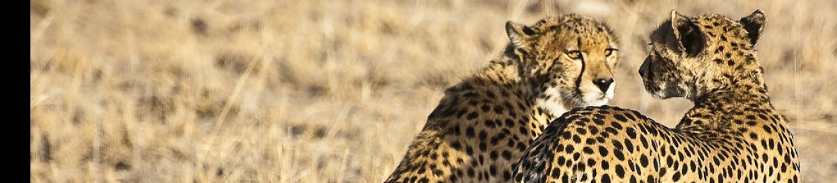 3-Day Maasai Mara Private Budget Safari with a 4x4 Jeep