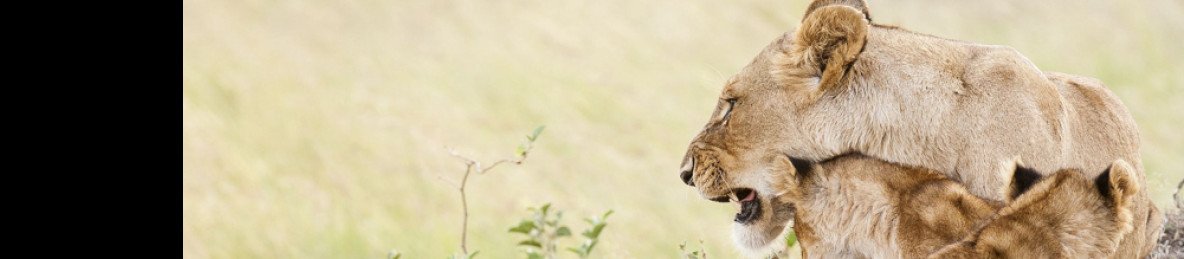 10-Day Phenomenal Budget Tour Group Joining Safari