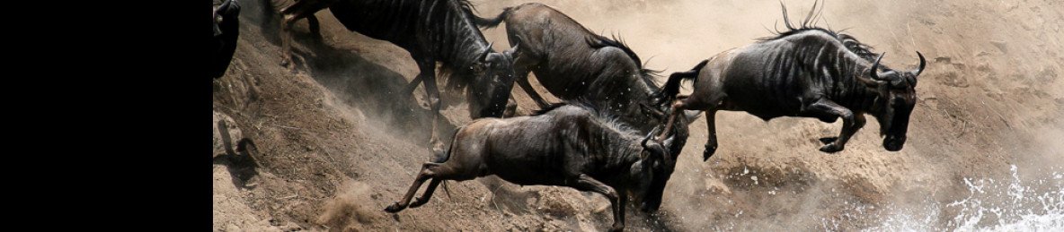 3-Day Masai Mara Budget Camping Adventure