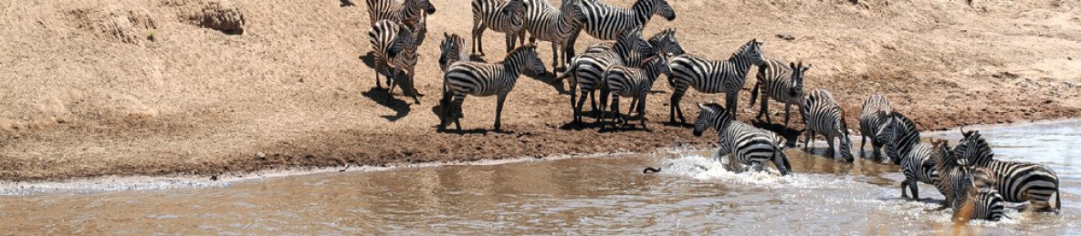 4-Day Masai Mara Trip