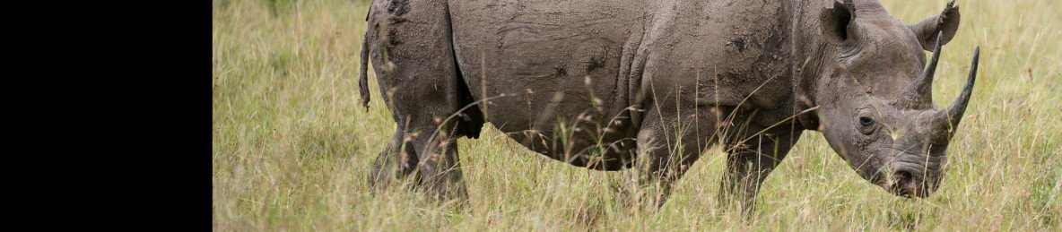 8-Day Kenya Budget Safari