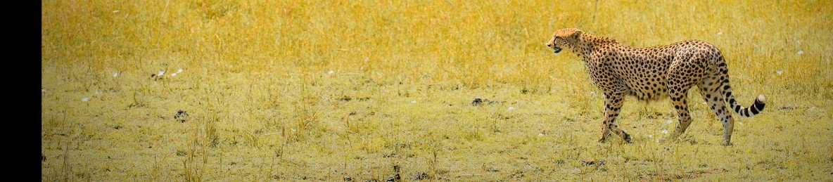 13-Day Explore Kenya-Tanzania with a Zanzibar Extension
