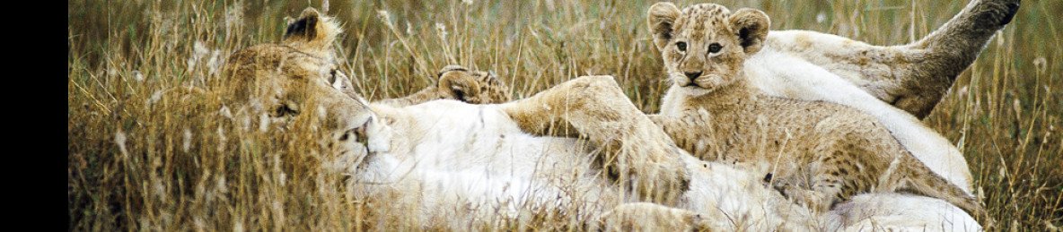 5-Day Adventure Safari in Kenya