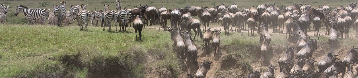 5-Day Wild Wonders of Kenya - Samburu to the Mara