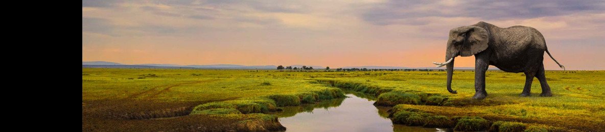 3-Day Fly-in Package to Basecamp Masai Mara