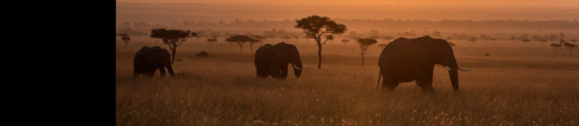 5-Day Lakes & Masai Mara Wildlife Adventure - 2026